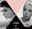 Coco Chanel vs Elsa Schiaparelli: O Preto e o Rosa