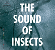 The Sound of Insects: Record of a Mummy