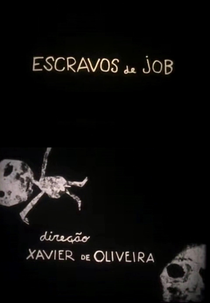 Escravos de Job (Escravos de Job)