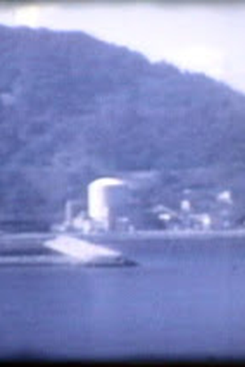 Poster de Curta Sangue de Tatu (1986)