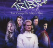 The Tribe (2ª Temporada)
