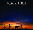 Naledi: A Baby's Elephant's Tale