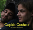 Cupido confuso