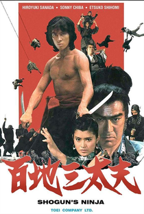 O Segredo do Ninja - Poster / Capa / Cartaz - Oficial 4