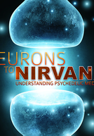Neurônios ao Nirvana