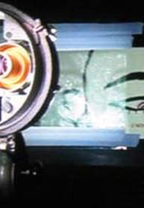 O Cinema dos Meus Olhos  (O Cinema dos Meus Olhos )