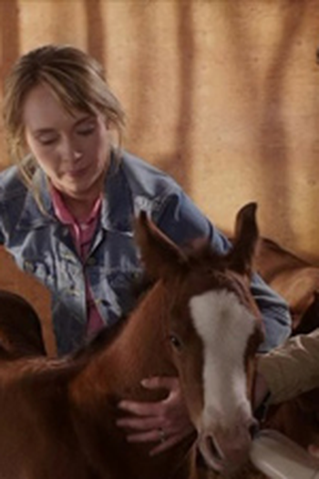 Poster de Episódio You Just Know (2016)