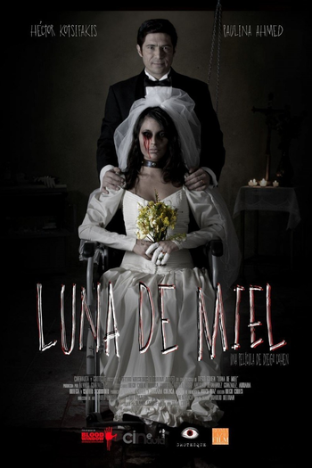 Poster de Filme Lua de mel (2015)