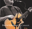 David Gilmour In Concert