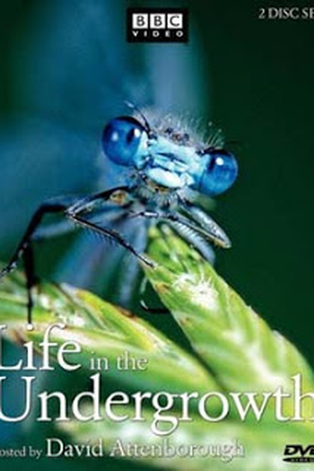  de Filme Pequenos Monstros - Disco 1 (2005)