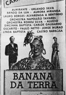 Banana-da-Terra 