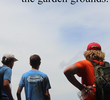 The Garden Grounds