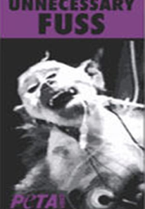 Unnecessary Fuss (Unnecessary Fuss)