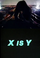 X is Y (X is Y)