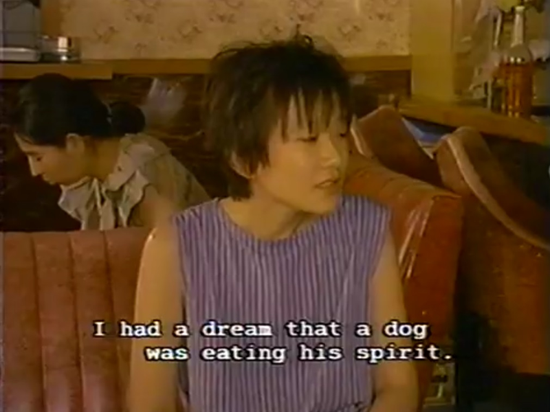 Foto 1 de Paradise View