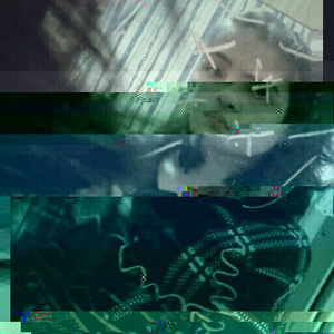 Foto de perfil de Sandy