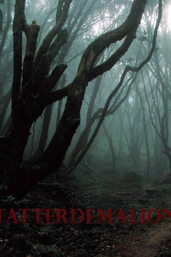 Poster de Filme Tatterdemalion (2016)