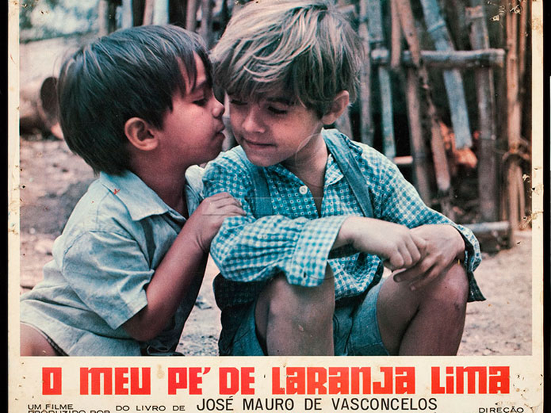 Foto 3 de O Meu Pé de Laranja Lima