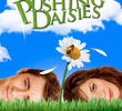 Pushing Daisies (1ª Temporada)