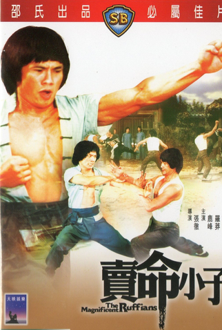 Poster 2 de Filme The Magnificent Ruffians (1979)