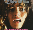 Quake: O Terremoto