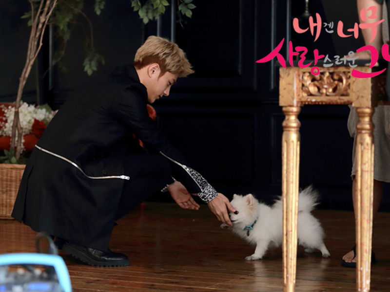 Foto 3 de She’s so Lovable