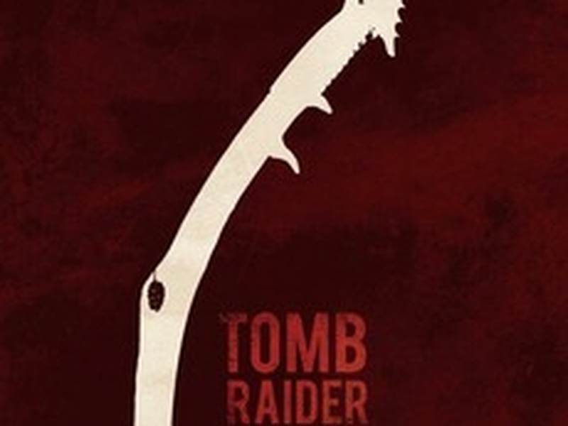 Foto 11 de Tomb Raider: A Origem