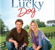 You Lucky Dog