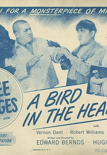 Os Três Patetas - Seu Cabeção Vale Um Milhão (The Three Stooges - A Bird in The Head)
