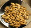 Wheat