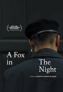 A Fox in the Night (A Fox in the Night)
