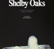 Terror em Shelby Oaks