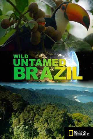 Poster 1 de Série Brasil Selvagem (2014)