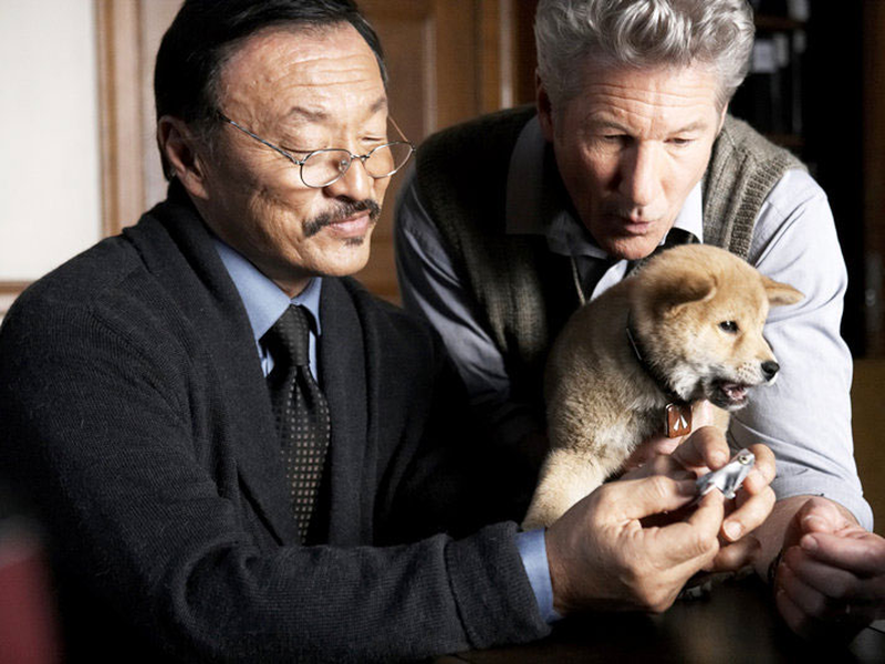 Foto 2 de Sempre ao Seu Lado