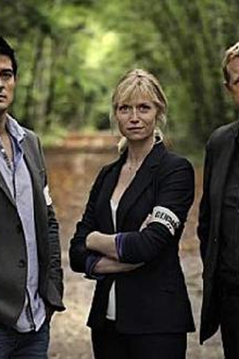 Poster de Série Section de recherches (7ª Temporada) (2013)