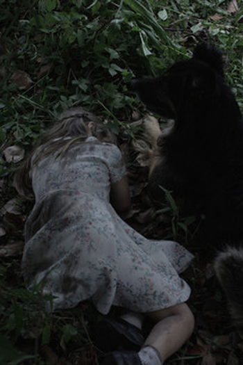 Poster de Curta Chorem a Loucura Perdida Desses Campos (2019)