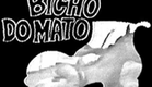 Bicho do mato (TV Globo - 1972) - Tema de abertura