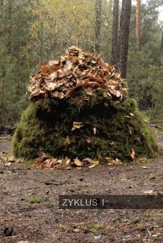 Poster 1 de Curta Zyklus I (2010)