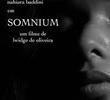 Somnium