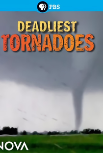 Deadliest Tornadoes - Poster / Capa / Cartaz - Oficial 2