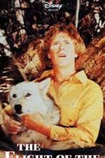 Meu Amigo Lobo (The Flight of the Grey Wolf)