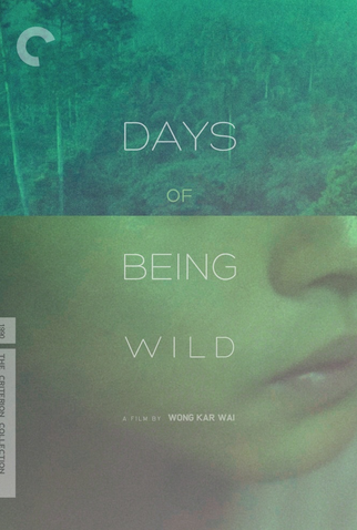 Poster 2 de Filme Dias Selvagens (1990)