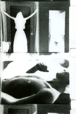 Parallel Space: Inter-View (Parallel Space: Inter-View)