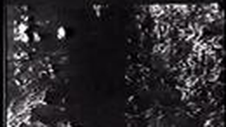 Trailer: The Alligator People Trailer (1959)