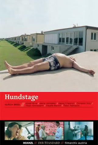 Poster 1 de Filme Dias de Cão (2001)