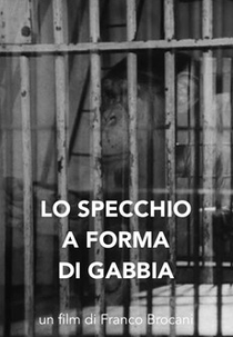 O ESPELHO EM FORMA DE JAULA  (Lo specchio a forma di gabbia)