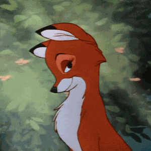 Foto de perfil de FoxyB