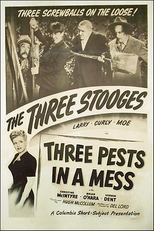 Premiados Arrevezados (Three Pests In A Mess)