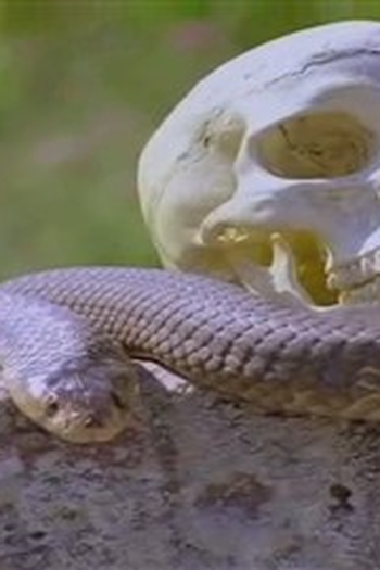 Poster de Episódio Conundrum (1996)