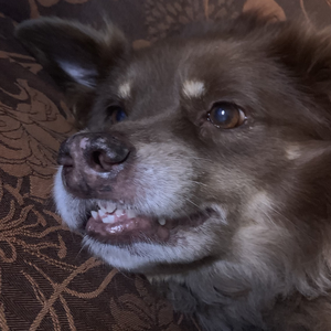 Foto de perfil de Sabrina
